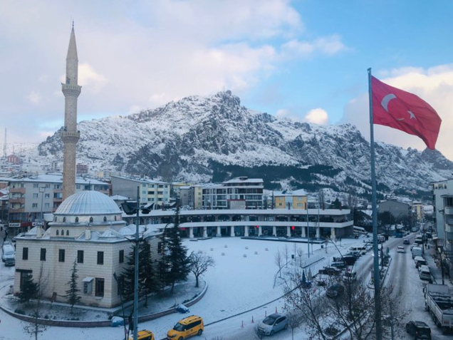Şebinkarahisar - Tekışık Camii